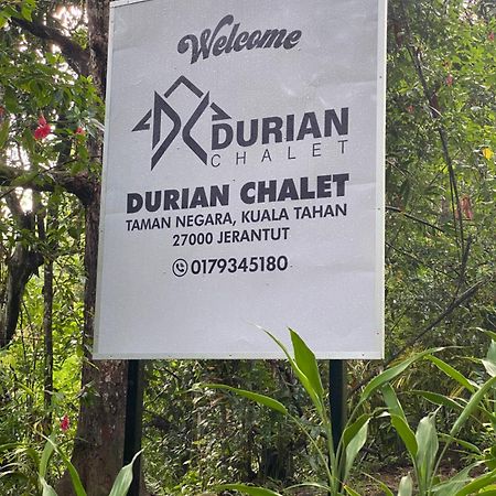 Durian Chalet Kuala Tahan Bagian luar foto
