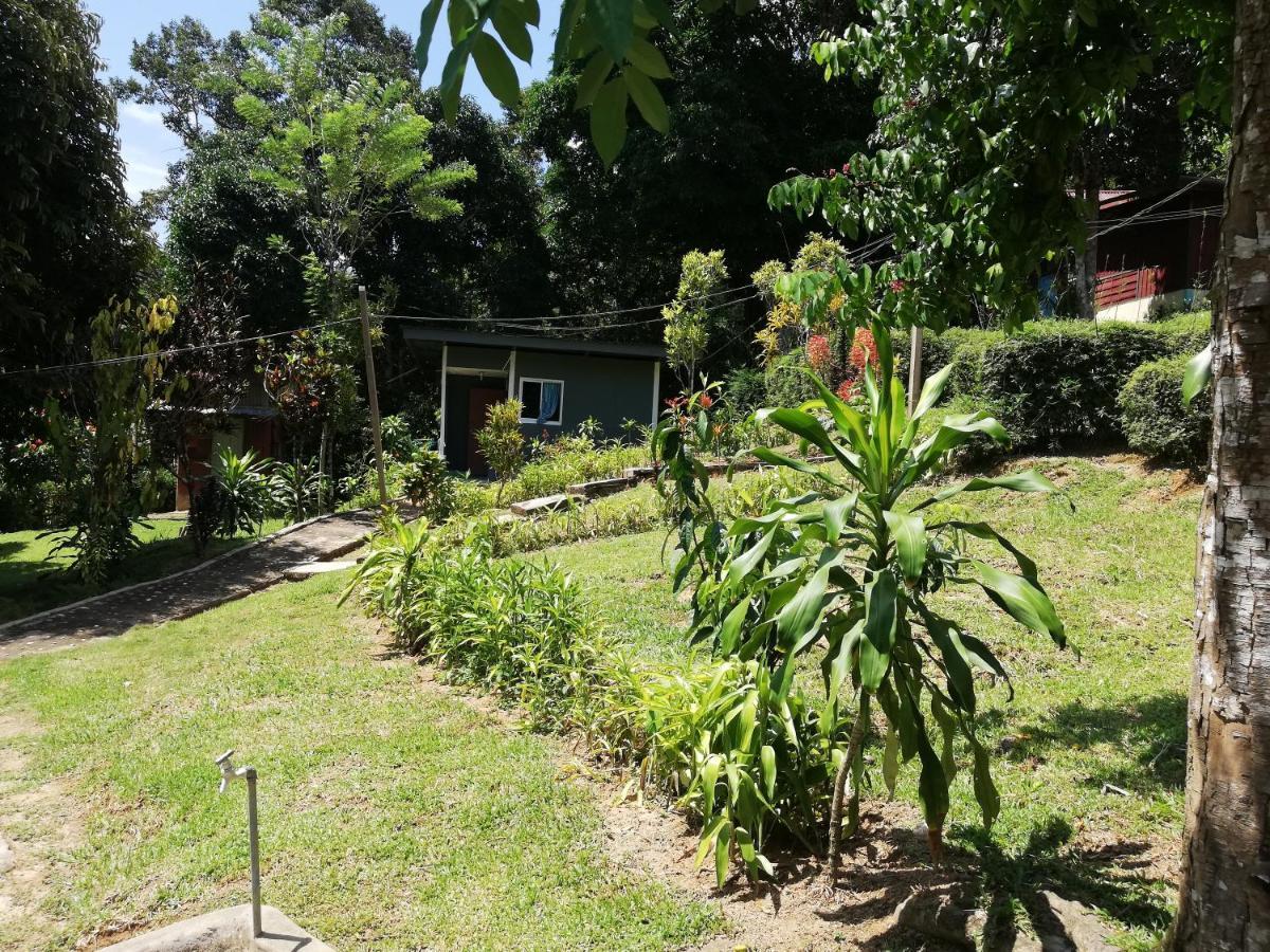 Durian Chalet Kuala Tahan Bagian luar foto