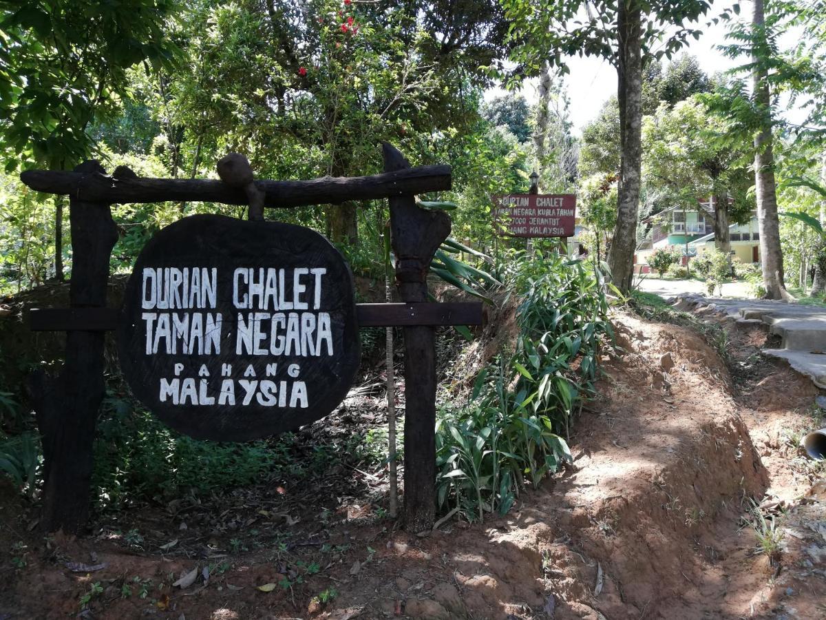 Durian Chalet Kuala Tahan Bagian luar foto