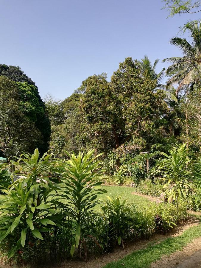 Durian Chalet Kuala Tahan Bagian luar foto