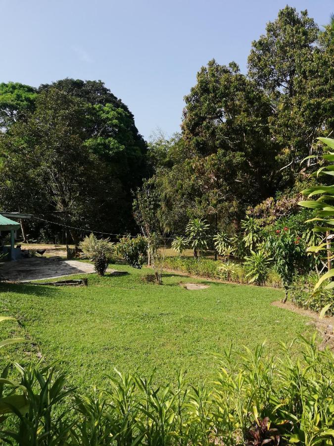 Durian Chalet Kuala Tahan Bagian luar foto