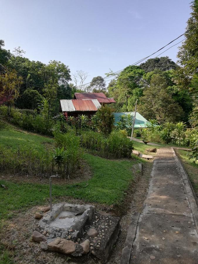 Durian Chalet Kuala Tahan Bagian luar foto