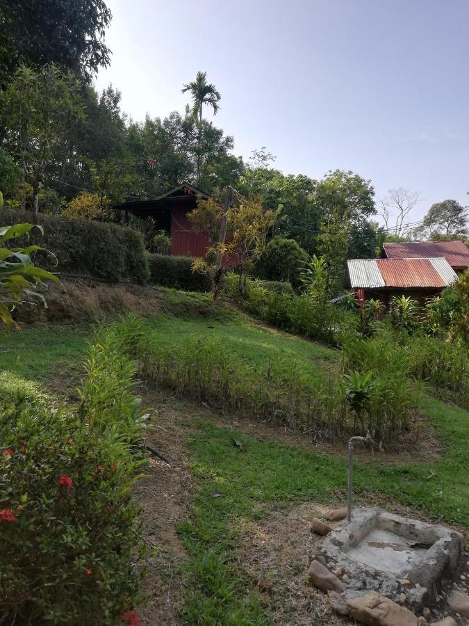 Durian Chalet Kuala Tahan Bagian luar foto