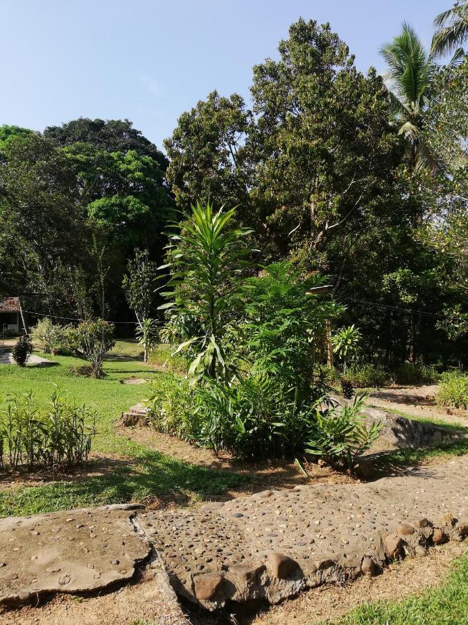 Durian Chalet Kuala Tahan Bagian luar foto