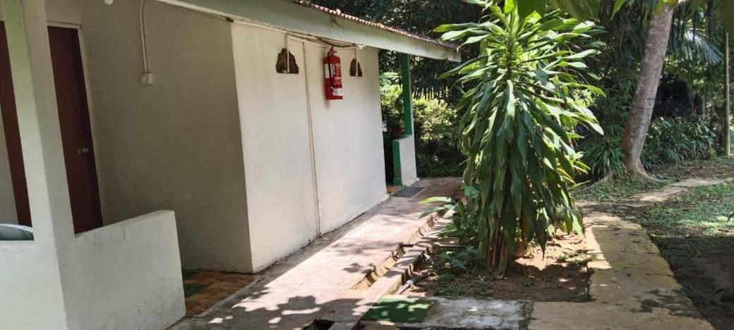 Durian Chalet Kuala Tahan Bagian luar foto