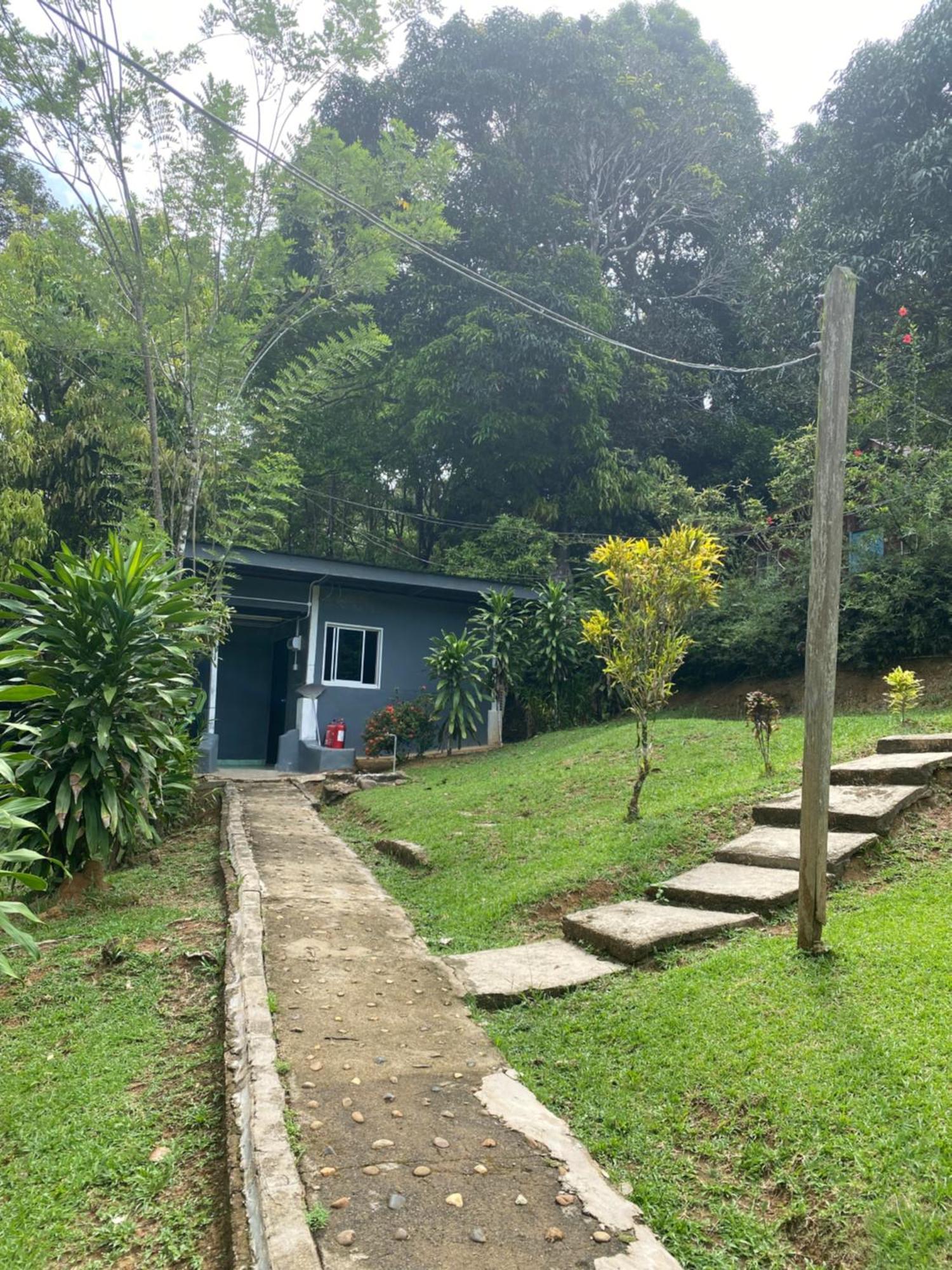 Durian Chalet Kuala Tahan Bagian luar foto